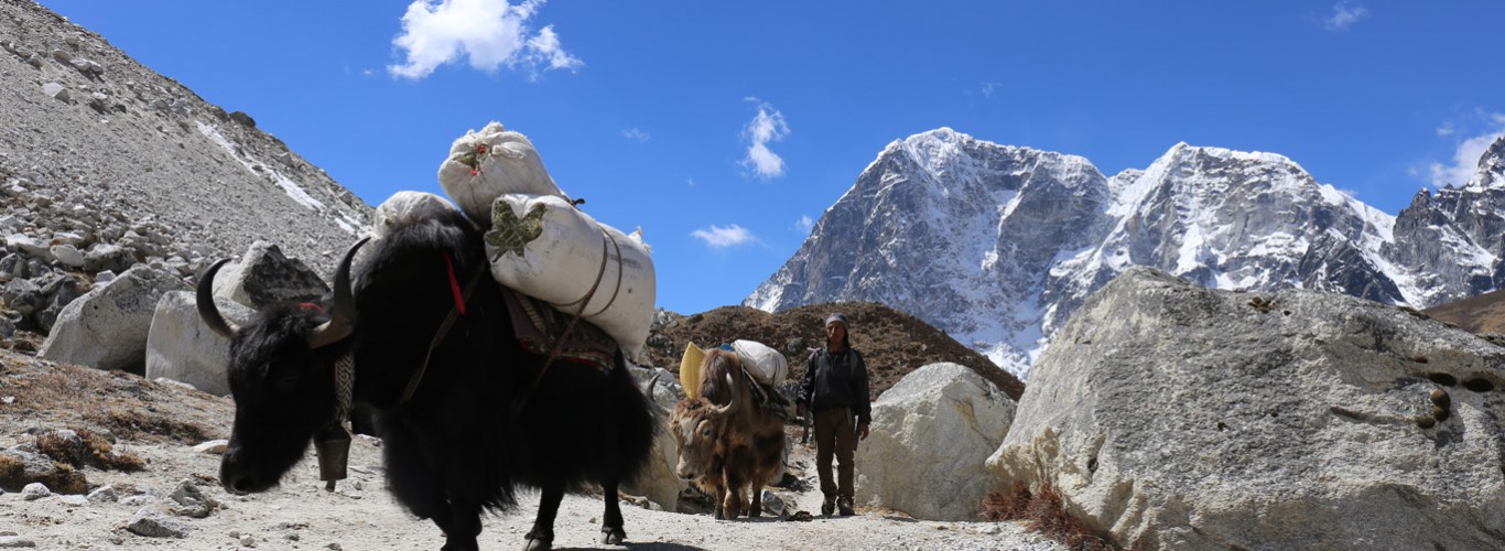 Everest Base Camp via Tibet – 8 Days