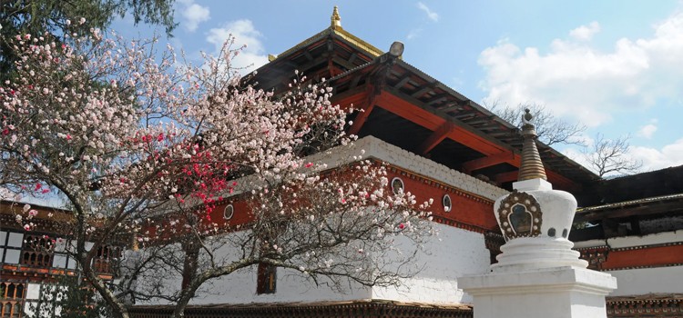 Cultural Tour of Bhutan – 6 Days
