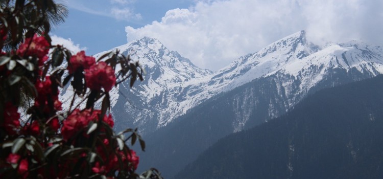 Tamang Heritage Trail with Langtang Trek – 15 Days