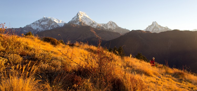 Ghorepani Poon Hill Trek – 10 Days