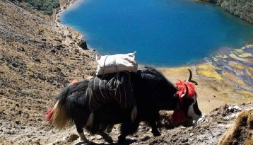 The Druk Path Trek – 9 Days