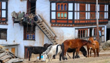 3 Nights 4 Days Bhutan Tour